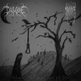 Days Gone / My fragile heart — Where Memories Go To Die official album cover