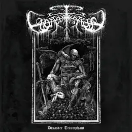 Bonjour Tristesse — Disaster Triumphant official album cover