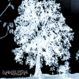 Gameleira — minha miséria me sufoca official album cover