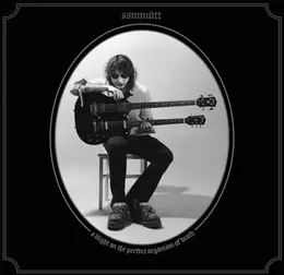 Ssmmüt — A Blight on the Perfect Organism of Death official album cover