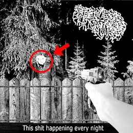 Steel Chain Links — This Shit Happening Every Night official album cover