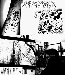 Wintermourne — When I Die? official album cover