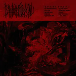 DeathFuckingWound — Teratoma Haruspex official album cover