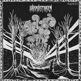 Häxmästaren — Skuggor del 1 official album cover