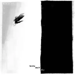 h0w t0 d!e — Birds Can't Fly official album cover