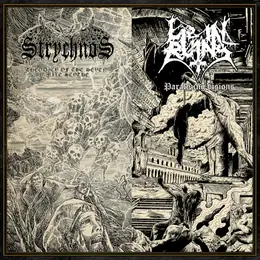 Strychnos / Lie in Ruins Paralyzing Visions/Theodicy of the Seven Mile Scythe