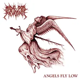 Ride for Revenge Angels Fly Low
