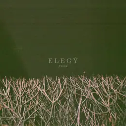 Elegý Уходи