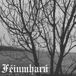 Féinmharú Withering (live)