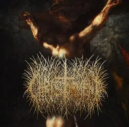 Christorment Born Anew