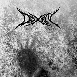 Doxian Hollowed Anew