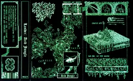 Lander Acid Jungle