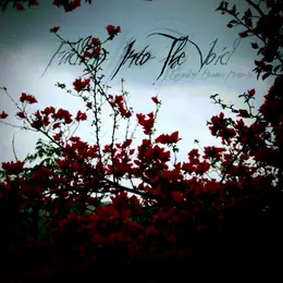 Fading into the Void Everything Becomes Memories
