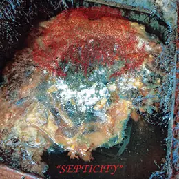 Fosse Septique Septicity