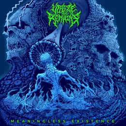Utilize the Remains Meaningless  Existence