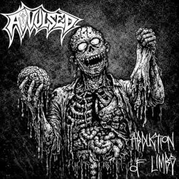 Avulsed Abduction of Limbs