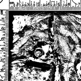 Genophobic Perversion Damaged Perception