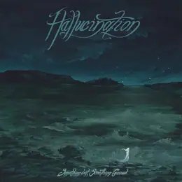 Hallucination Something Lost, Something Gained