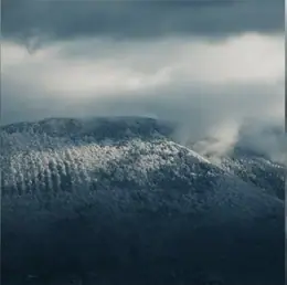 Espoir Malgré l'Hiver