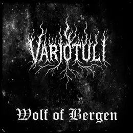 Varjotuli Wolf of Bergen