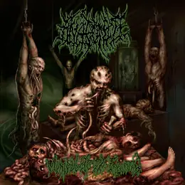Anatomize Manipulate the Infected