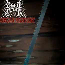 Blood Druid Organ Harvest