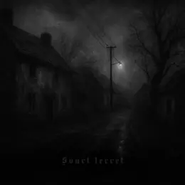 Svorght Svart lerret