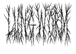 Lungworm Posthumanism