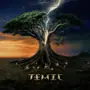 Temic — Ceiba