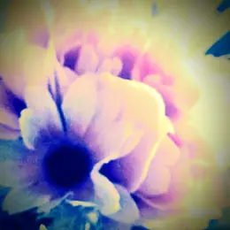 April Spring The Day I First Saw You
