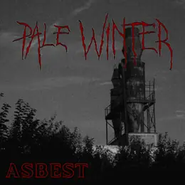 Pale Winter Asbest