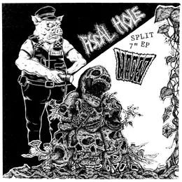 Maced / Fiscal Hole Fiscal Hole / Maced