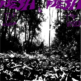 Flesh The Voices & the Void