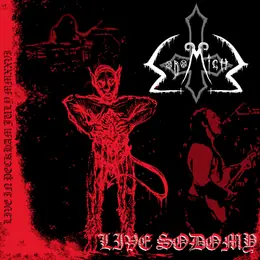 Sodomight Live Sodomy