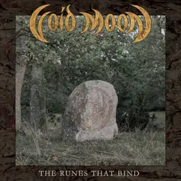 Void Moon The Runes That Bind