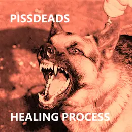 Pissdeads Healing Process