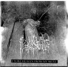 Дряхлость I Tore Heaven from My Skull