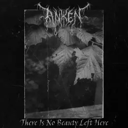 Anken There is no Beauty Left Here