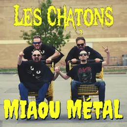 Les Chatons Miaou Métal