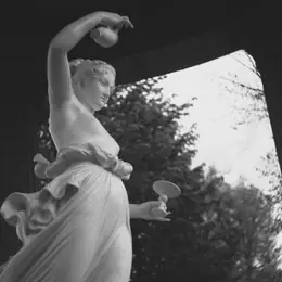 Thomas Roese The Human I Never Became