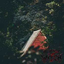Tinnitus Attack Revenge of the Witch