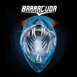 Barracuda Barracuda