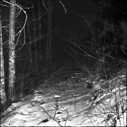 Nordrim Demo II