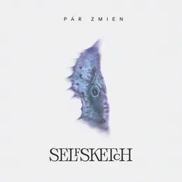 Selfsketch Pár zmien