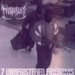 Verevaen 7 Unregistered Firearms
