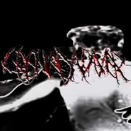 Cranial Cadaver Winter...