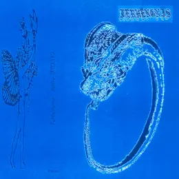 Ferhengnis Ferhengnis