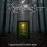 Noctámbulo Enigmática Incisión Del Umbral Interno