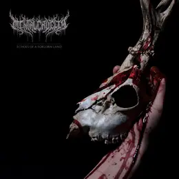 Mental Cruelty — Frost official album cover