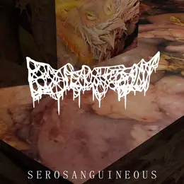 Exsudation Serosanguineous